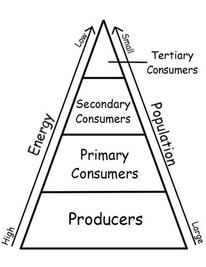 Energy Pyramid - Photo Number 1