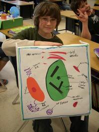 Cell models - Photo Number 9
