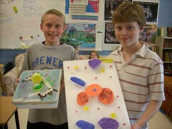 Cell models - Photo Number 20