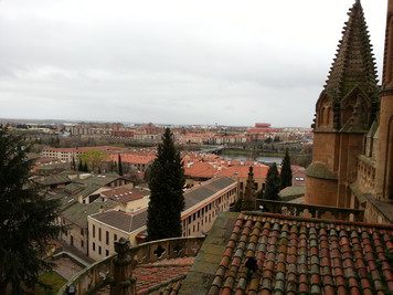 View from atop the Catedral Nueva - Salamanca